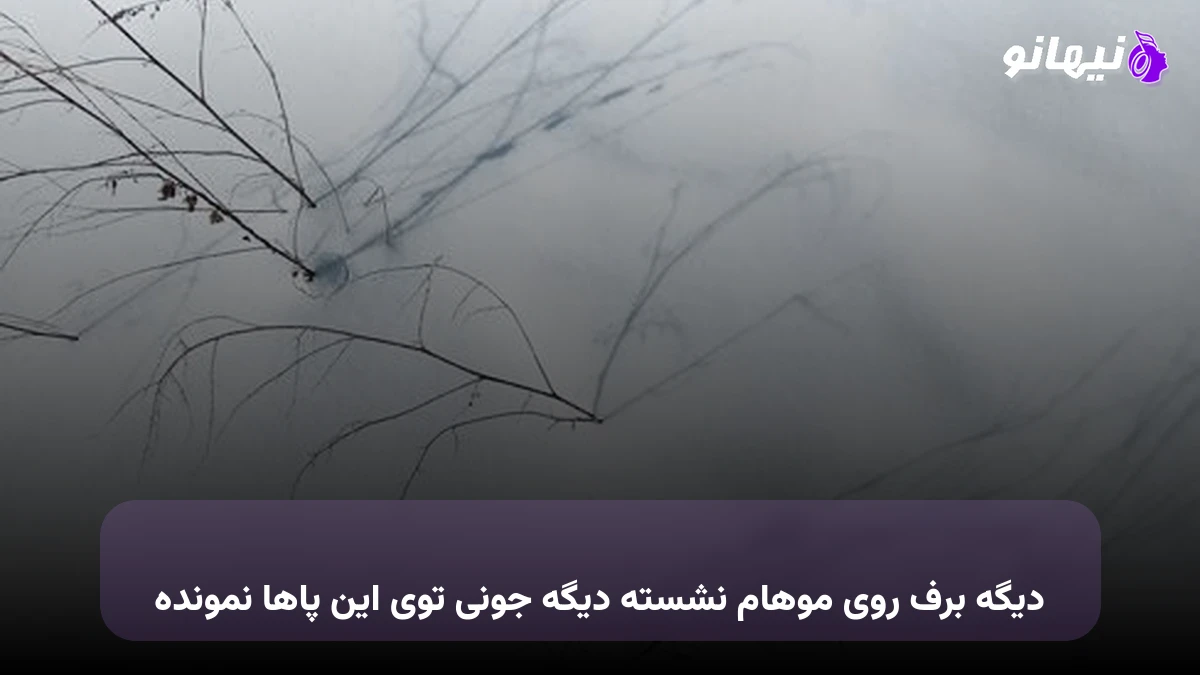دانلود آهنگ دیگه برف روی موهام نشسته دیگه جونی توی این پاها نمونده 